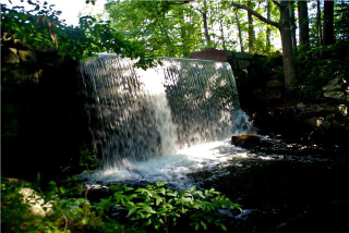 Waterhouse Brook Project