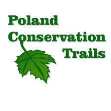 Poland wildlife - visit YouTube and Facebook to see the abundance and variety of wildlife here in Poland!