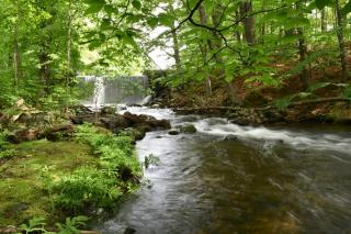 Waterhouse Brook Dam