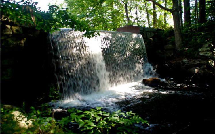 Waterhouse Brook Project