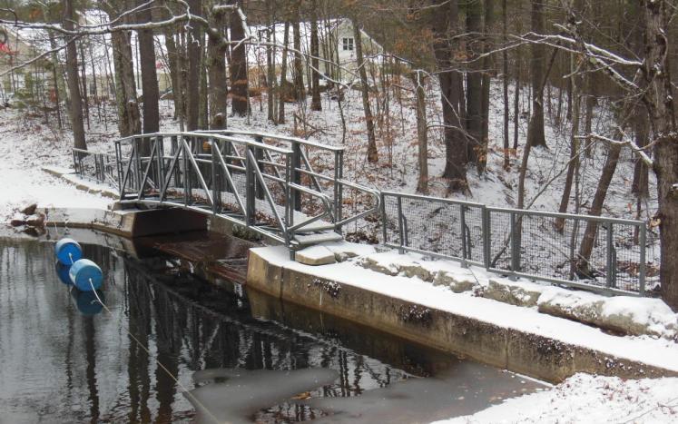 Waterhouse Brook Bridge in the Snow