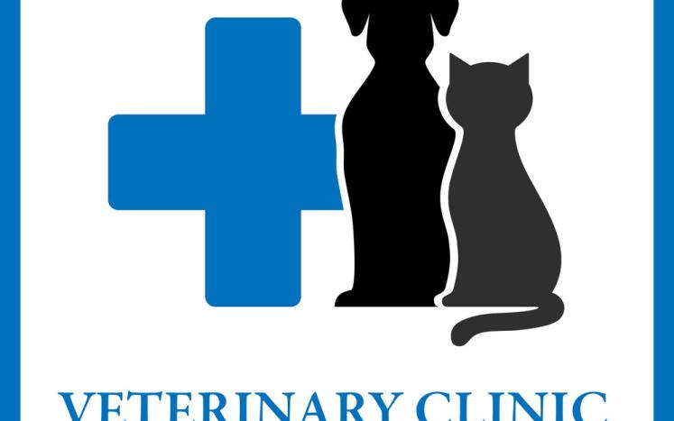 Veterinary clinic, rabies clinic